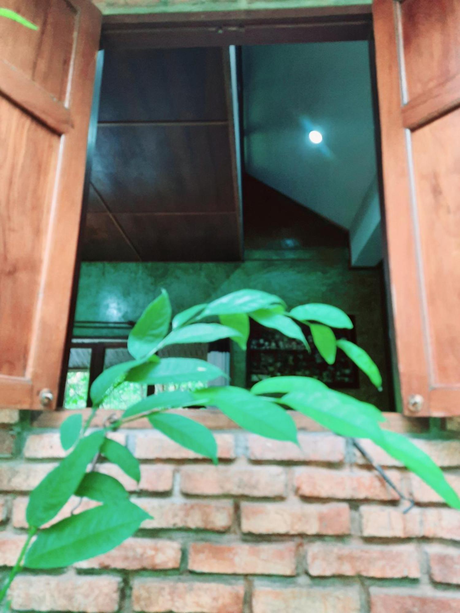 Tuaprodhome Khao Lak Værelse billede