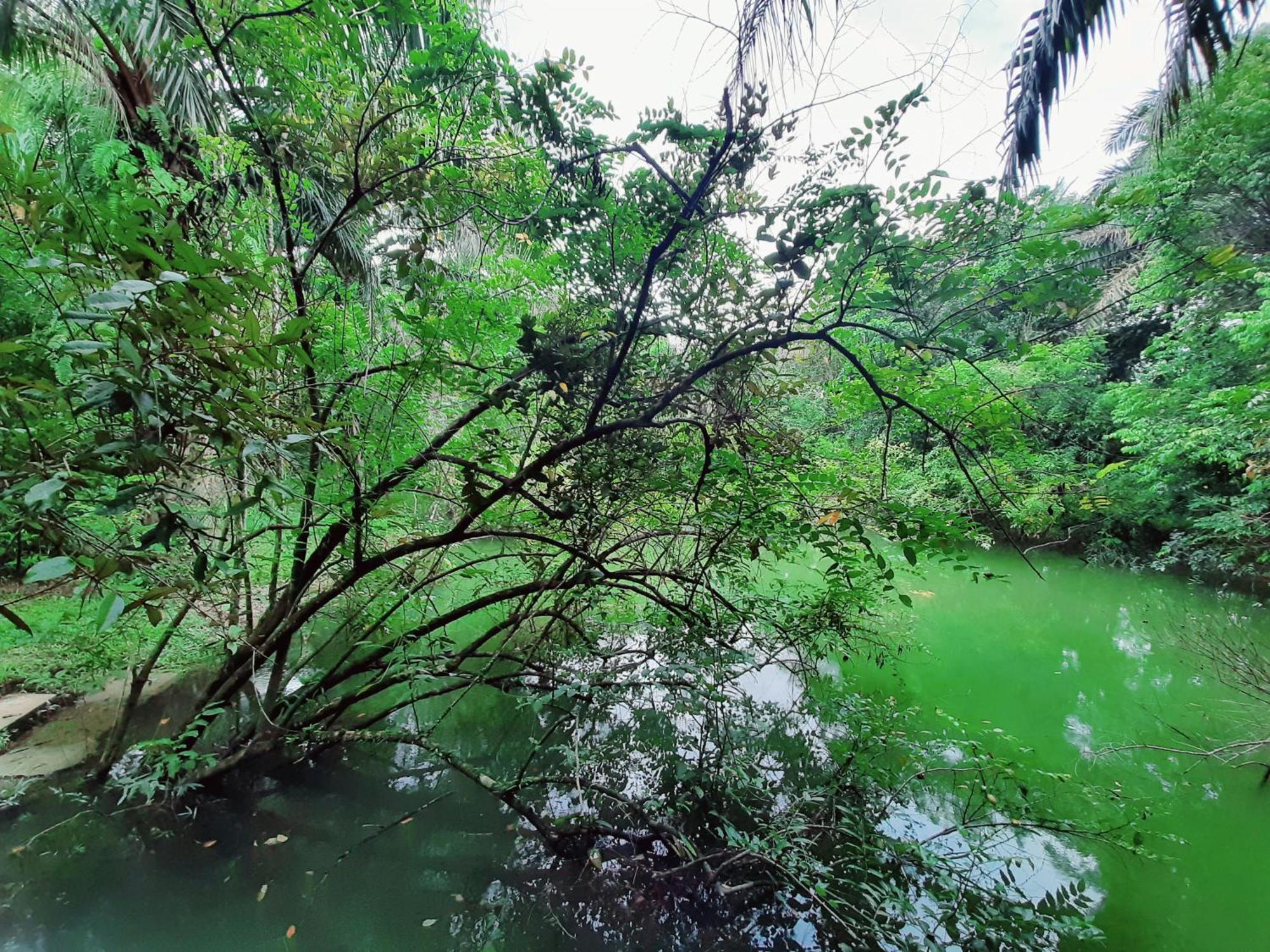 Tuaprodhome Khao Lak Værelse billede