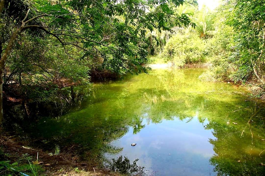 Tuaprodhome Khao Lak Værelse billede