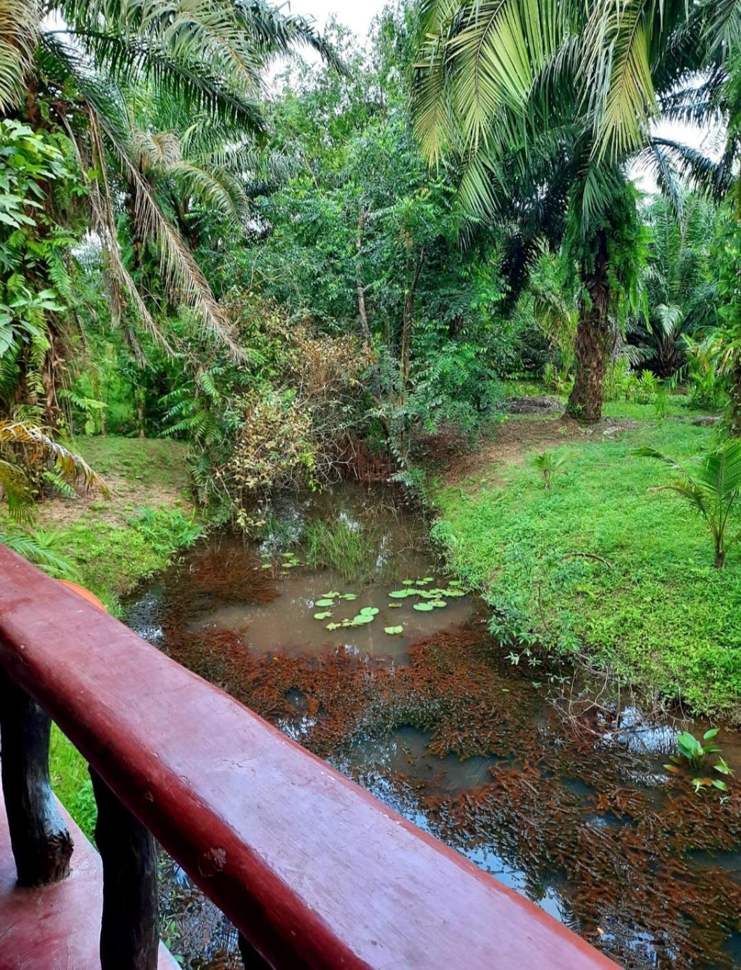 Tuaprodhome Khao Lak Værelse billede