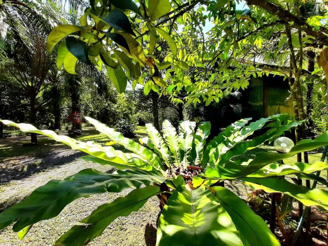 Tuaprodhome Khao Lak Værelse billede
