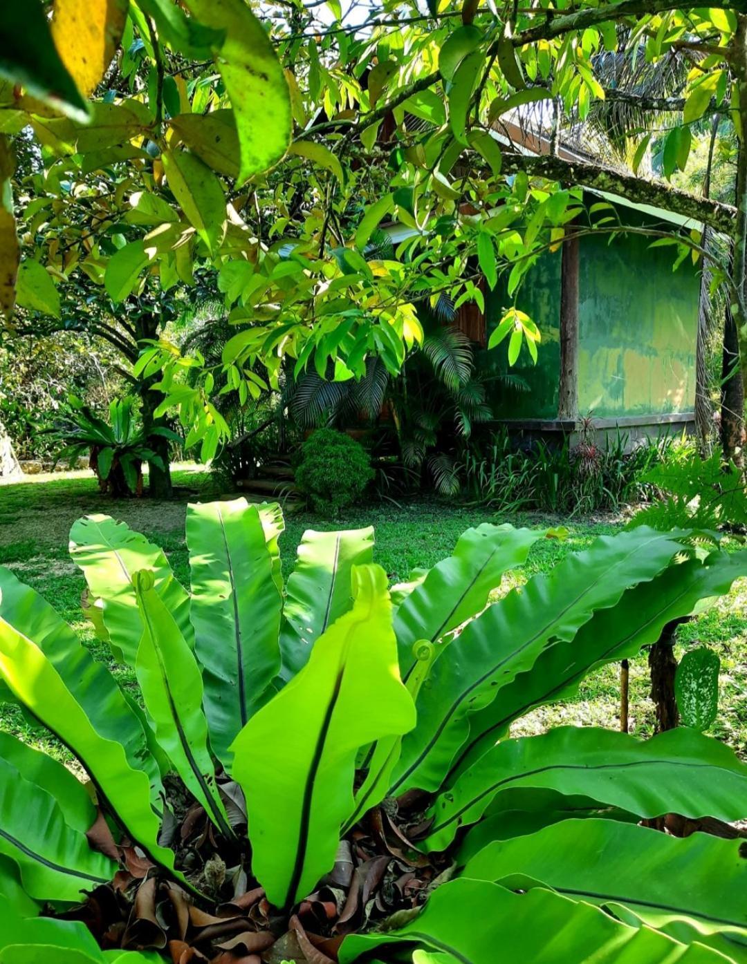 Tuaprodhome Khao Lak Værelse billede