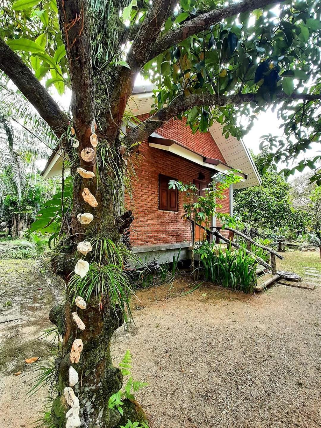 Tuaprodhome Khao Lak Værelse billede