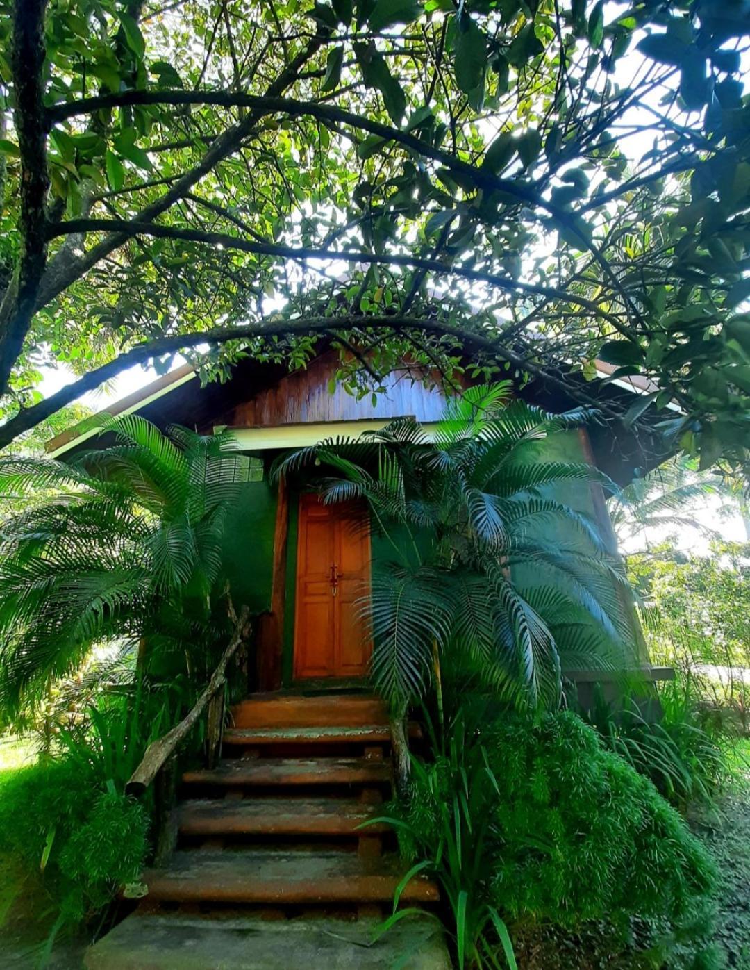 Tuaprodhome Khao Lak Værelse billede