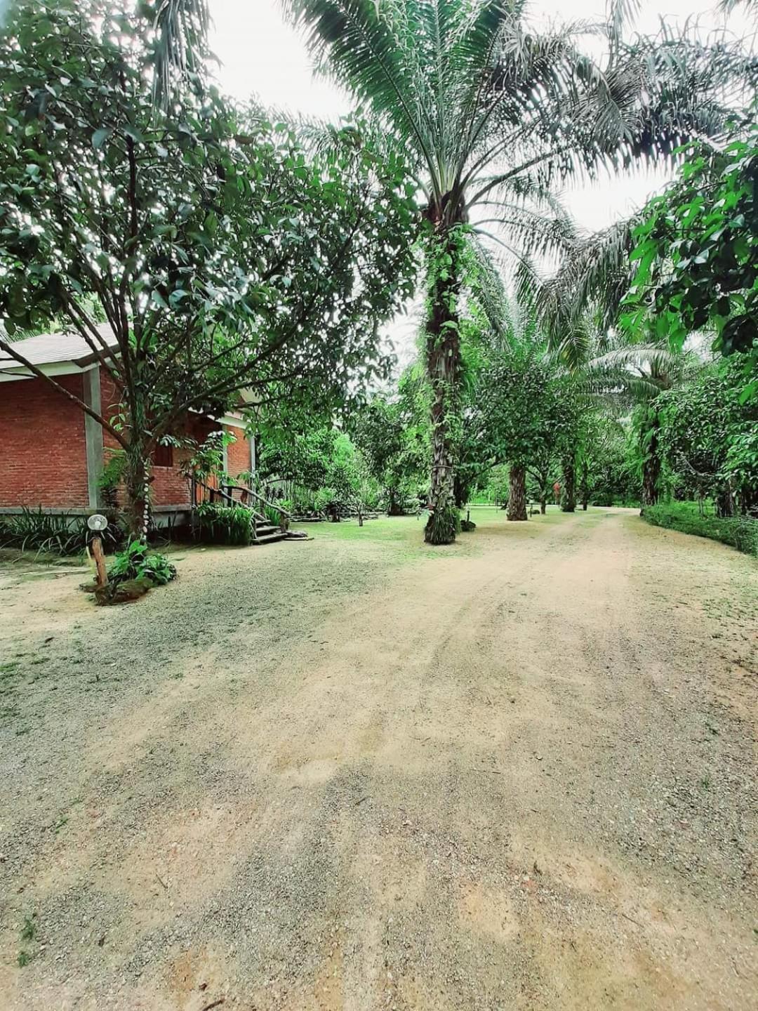 Tuaprodhome Khao Lak Værelse billede